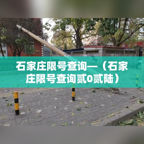 石家庄限号查询—（石家庄限号查询贰0贰陆）