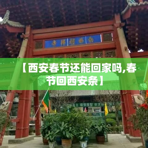 【西安春节还能回家吗,春节回西安条】