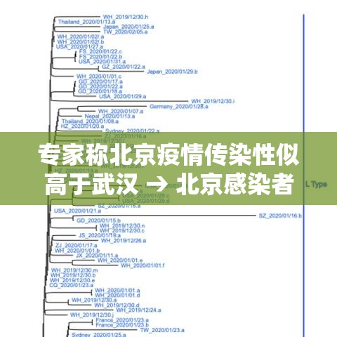专家称北京疫情传染性似高于武汉 → 北京感染者都是什么人